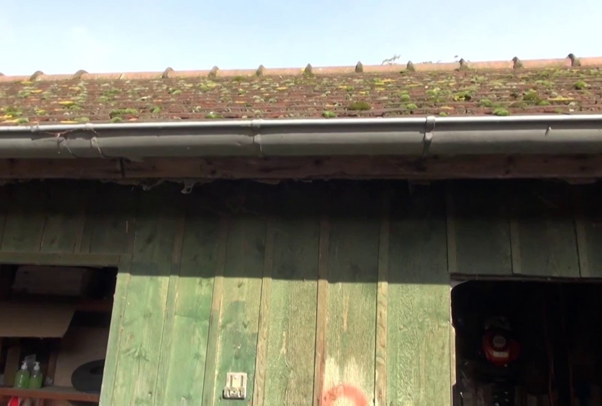 Gwendoline la coquine(vidéo exclusive)
